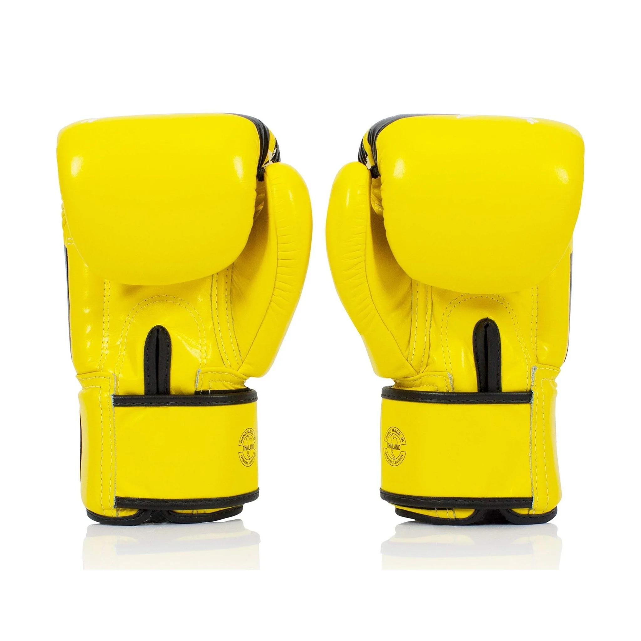 Fairtex Nation BGV1 Muay Thai Boxing Glove - Image 11