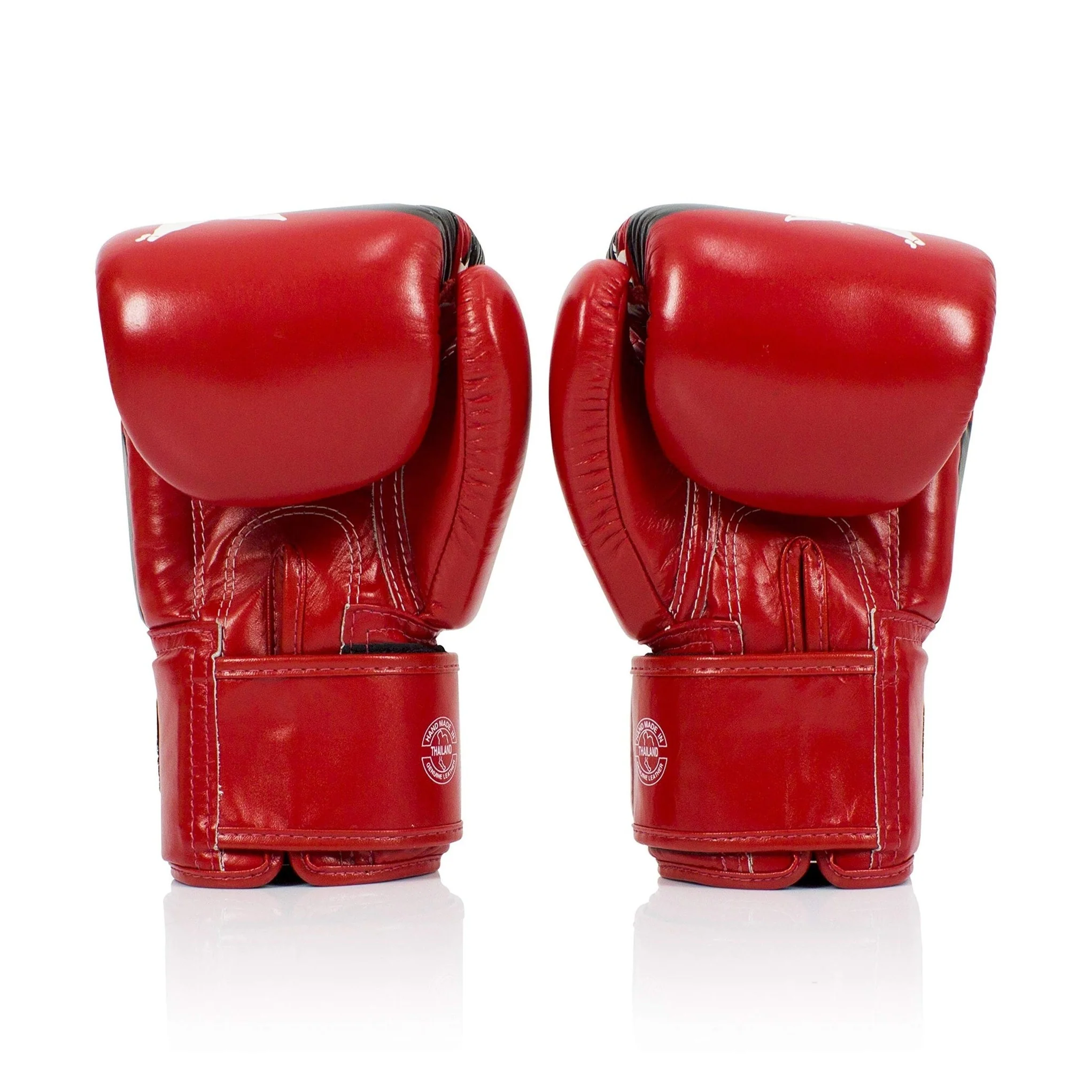Fairtex Nation BGV1 Muay Thai Boxing Glove - Image 19